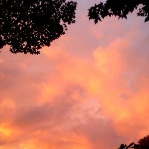 Meet your Posher, Tessarena88